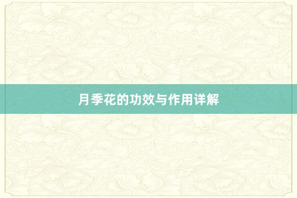 月季花的功效与作用详解