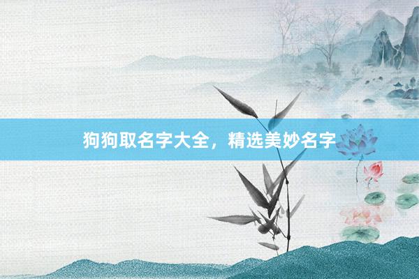 狗狗取名字大全,精选美妙名字