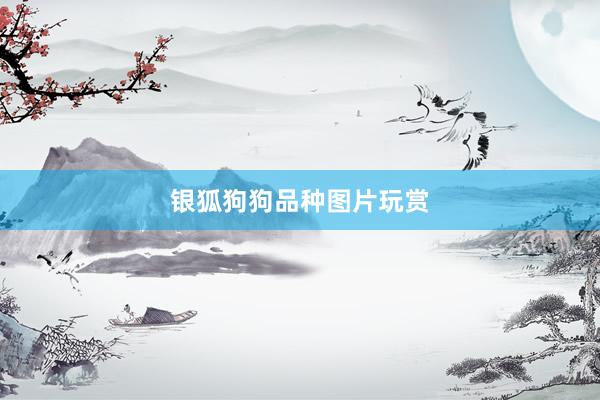 银狐狗狗品种图片玩赏