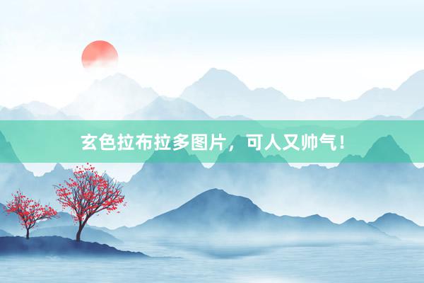 玄色拉布拉多图片，可人又帅气！